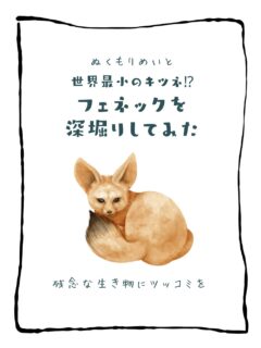 兄です。妹です。
二人合わせてぬくもりめいとシャオレイです🐼

今日の投稿は「世界最小のキツネ？フェネックを深堀りしてみた」をお送りします。

妹🐼です♪
フェネックさんって実は人慣れすると
デレデレに甘えん坊さんなんだって！知ってた？
そんなフェネックさんに会いに動物園にきてみて～！

-————————————————
「ぬくもりめいと」は双子のパンダと
その仲間たちで楽しくわちゃわちゃしています。
オリジナルグッズもあるよ！
＠nukumor_meito
-————————————————