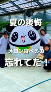 兄です。妹です。
二人合わせてぬくもりめいとシャオレイです🐼

よ！ぬくもりめいとシャオレイの兄パンダだぜ！
夏の忘れ物に気づいちゃったよ！

-————————————————
「ぬくもりめいと」は双子のパンダと
その仲間たちで楽しくわちゃわちゃしています。
オリジナルグッズもあるよ！
＠nukumor_meito
-————————————————