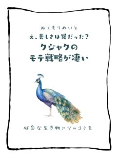 兄です。妹です。
二人合わせてぬくもりめいとシャオレイです🐼

今日の投稿は「え、美しさは罠だった？クジャクのモテ戦略が凄い」をお送りします。

妹🐼です♪
美しさって究極のモテ！！！
私もスキンケアにはうるさい方だけど
クジャクさんには敵わないわ💔
そんなクジャクさんに会いに動物園にきてみて～！

-————————————————
「ぬくもりめいと」は双子のパンダと
その仲間たちで楽しくわちゃわちゃしています。
オリジナルグッズもあるよ！
＠nukumor_meito
-————————————————