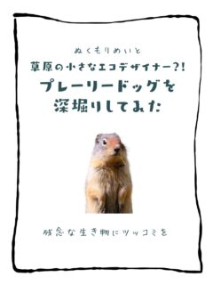 兄です。妹です。
二人合わせてぬくもりめいとシャオレイです🐼

今日の投稿は「草原の小さなエコデザイナー？！プレーリードッグを深堀りしてみた」をお送りします。

妹🐼です♪
ドックって言われてるから犬のお友達？
と思ったら大間違い！
可愛いプレーリードックさんの秘密を確かめに
動物園にきてみて～！

-————————————————
「ぬくもりめいと」は双子のパンダと
その仲間たちで楽しくわちゃわちゃしています。
オリジナルグッズもあるよ！
＠nukumor_meito
-————————————————