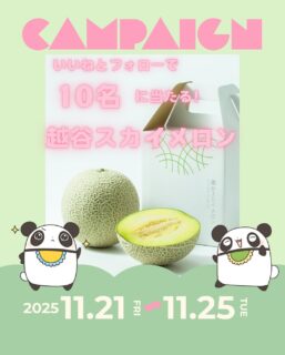 兄です。妹です。
二人合わせてぬくもりめいとシャオレイです🐼

よ！兄🐼だぜ！
夏の忘れ物を探しに越谷まで行ったら
かわい子ちゃんがいっぱいいたんだ！
@nogyo.design の農業ガールたち最高だったぜ！

そんでもって、全国の飼育員のみんなのためにおねだりしてきたぜ〜✨
そんな越谷スカイメロンがついにキャンペーンスタート🎉

🍨応募方法🍨

１：このアカウントをフォロー
２：この投稿にいいねしてくれよな
３：コメントに「この夏の忘れ物」を書いてくれぃ！

-————————————————
「ぬくもりめいと」は双子のパンダと
その仲間たちで楽しくわちゃわちゃしています。
オリジナルグッズもあるよ！
＠nukumor_meito
-————————————————