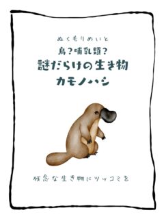 兄です。妹です。
二人合わせてぬくもりめいとシャオレイです🐼

今日の投稿は「鳥？哺乳類？　謎だらけの生き物カモノハシ」をお送りします。

妹🐼です♪
オスのカモノハシさんには要注意！
そのわけは投稿で確認してね✨

-————————————————
「ぬくもりめいと」は双子のパンダと
その仲間たちで楽しくわちゃわちゃしています。
オリジナルグッズもあるよ！
＠nukumor_meito
-————————————————