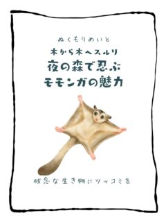 兄です。妹です。
二人合わせてぬくもりめいとシャオレイです🐼

今日の投稿は「木から木へスルリ　夜の森で忍ぶモモンガの魅力」をお送りします。

妹🐼です♪
モモンガさんの飛行動画見たことある？
飼い主さんの手に着地する瞬間
おててをぎゅ！って抱きしめるやつ！
アレ可愛くて沼❤️
-————————————————
「ぬくもりめいと」は双子のパンダと
その仲間たちで楽しくわちゃわちゃしています。
オリジナルグッズもあるよ！
＠nukumor_meito
-————————————————