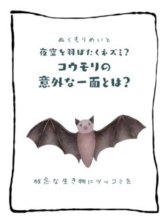 兄です。妹です。
二人合わせてぬくもりめいとシャオレイです🐼

今日の投稿は「夜空を羽ばたくネズミ？　コウモリの意外な一面とは？」をお送りします。

妹🐼です♪
小さい時お兄ちゃんに
「コウモリは血をすうんだぞ〜！」
って脅かされてたけど
実はフルーツ大好きだったり
可愛いところ多いんだよ🍎
-————————————————
「ぬくもりめいと」は双子のパンダと
その仲間たちで楽しくわちゃわちゃしています。
オリジナルグッズもあるよ！
＠nukumor_meito
-————————————————