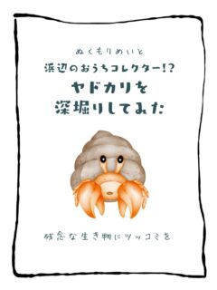 兄です。妹です。
二人合わせてぬくもりめいとシャオレイです🐼

今日の投稿は「浜辺のおうちコレクター！？ヤドカリを深堀りしてみた」をお送りします。

妹🐼です♪
ヤドカリさんって冬場はどうしているのかしら？
お家の冷暖房設備ってあるのかしら？

-————————————————
「ぬくもりめいと」は双子のパンダと
その仲間たちで楽しくわちゃわちゃしています。
オリジナルグッズもあるよ！
＠nukumor_meito
-————————————————