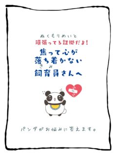 兄です。妹です。
二人合わせてぬくもりめいとシャオレイです🐼

今日の投稿は「頑張ってる証拠だよ！　焦って心が落ち着かない飼育員さんへ」をお送りします。

兄🐼だぜ！
「とりま落ち着け！深呼吸だ！」
焦った時は俺はコレ唱えるぜ！
みんなはどうしてる？
コメントで教えてくれよな！

-————————————————
「ぬくもりめいと」は双子のパンダと
その仲間たちで楽しくわちゃわちゃしています。
オリジナルグッズもあるよ！
＠nukumor_meito
-————————————————