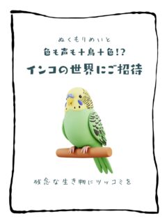 兄です。妹です。
二人合わせてぬくもりめいとシャオレイです🐼

今日の投稿は「色も声も十鳥十色！？インコの世界にご招待」をお送りします。

妹🐼です♪
ショート動画に「トリってしていい？」って聞いてる
インコさんの可愛い映像が流れてくるんだけど
見たことある？
あれ超大好き！
素敵な女子トークできそう💞

-————————————————
「ぬくもりめいと」は双子のパンダと
その仲間たちで楽しくわちゃわちゃしています。
オリジナルグッズもあるよ！
＠nukumor_meito
-————————————————