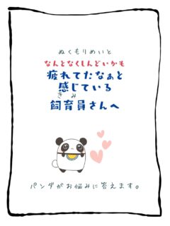 兄です。妹です。
二人合わせてぬくもりめいとシャオレイです🐼

今日の投稿は「なんとなくしんどいかも　疲れたな〜と感じている飼育員さんへ」をお送りします。

兄🐼だぜ！
俺は笹食べてゴロゴロしてたら
『可愛い〜！」って言われるけど
人間は違うんだよな。
一生懸命勉強したり、家族のために仕事したり…
妹🐼のためにあちこち飛び回ることもあるけど
充電が必要になったらやっぱりゴロゴロするぜ！
みんなの充電方法をコメントで教えてくれよな！

-————————————————
「ぬくもりめいと」は双子のパンダと
その仲間たちで楽しくわちゃわちゃしています。
オリジナルグッズもあるよ！
＠nukumor_meito
-————————————————