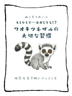 兄です。妹です。
二人合わせてぬくもりめいとシャオレイです🐼

今日の投稿は「もしかしてヨガしてる？ワオキツネザルの大切な習慣」をお送りします。

妹🐼です♪
しましましっぽが平成感あって
オシャレすぎるんですけど〜💞
ワオキツネザルさんかなりのY2K！

-————————————————
「ぬくもりめいと」は双子のパンダと
その仲間たちで楽しくわちゃわちゃしています。
オリジナルグッズもあるよ！
＠nukumor_meito
-————————————————